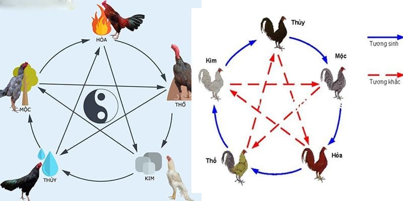 Tùy vào mạng mà sẽ chọn loại màu tương ứng